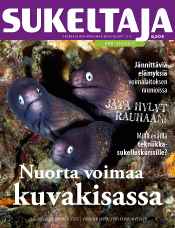 Sukeltaja 1/2012 kansi